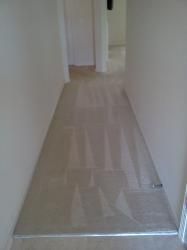 Mark Panozzo Carpet Cleaning & Painting